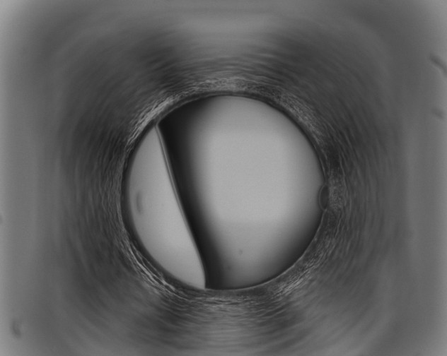 X0000098010434200803280734