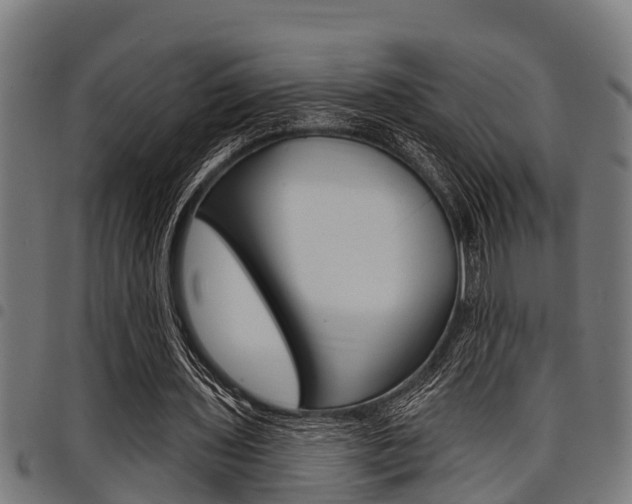 X0000098010435200803280734
