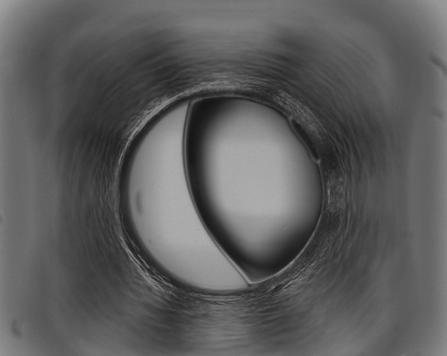 X0000098010436200803280734