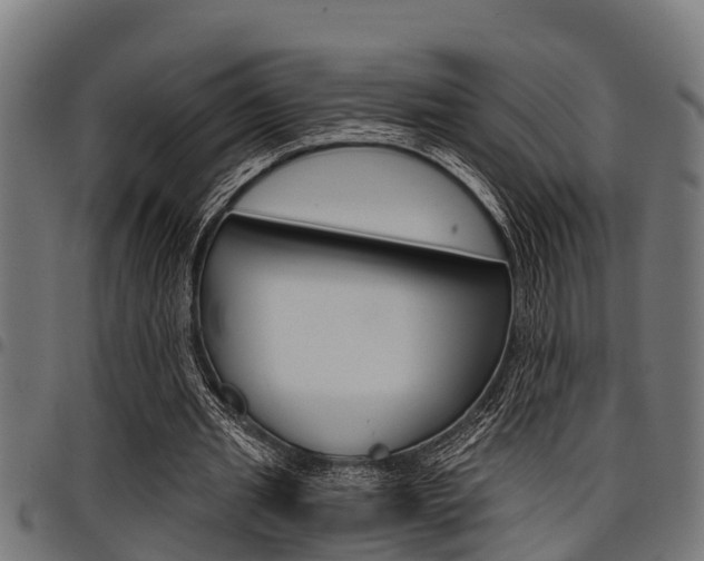 X0000098010437200803280734