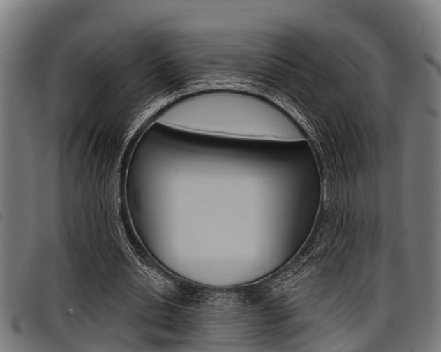 X0000098010438200803280734