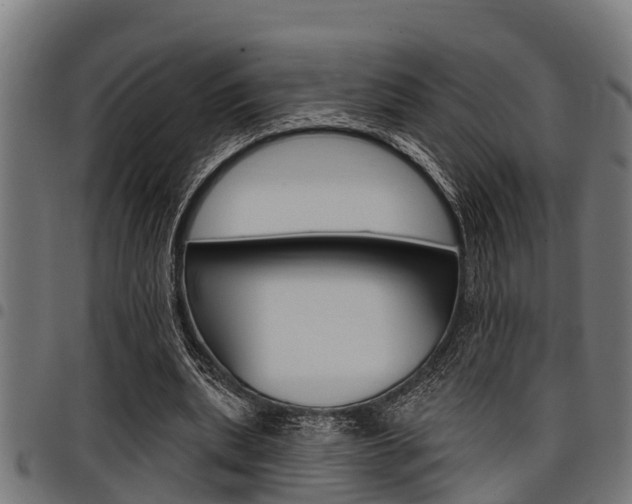 X0000098010439200803280734