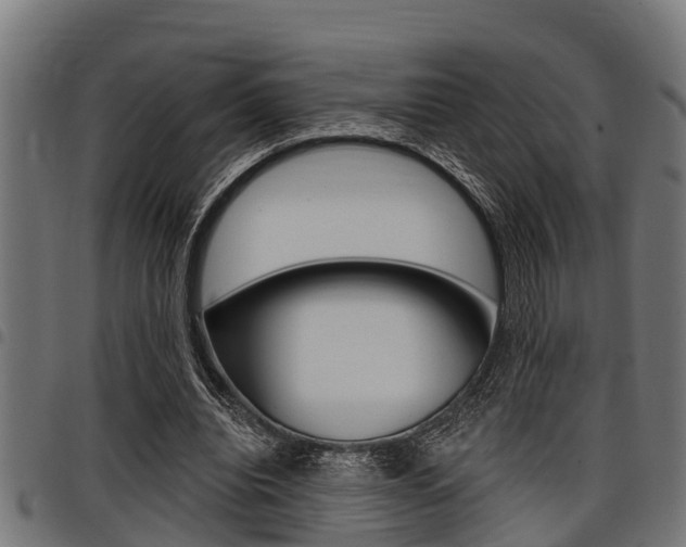 X0000098010440200803280734
