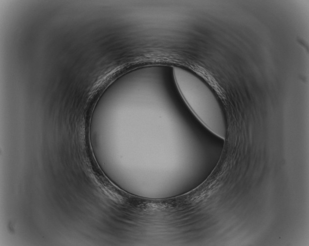 X0000098010442200803280734