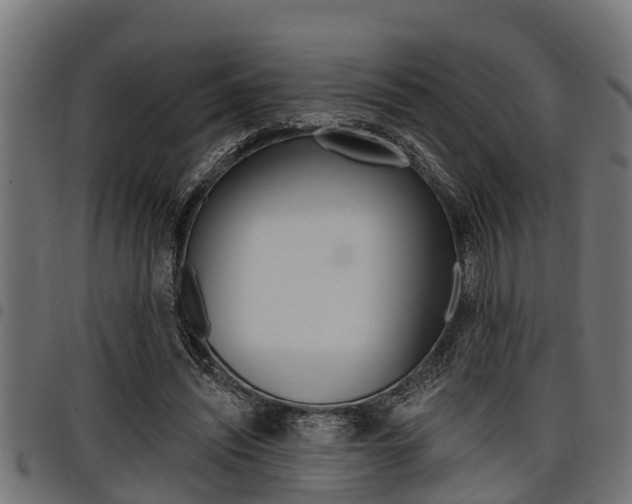 X0000098010444200803280734