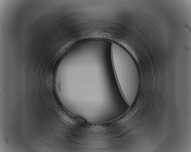 X0000098010445200803280734