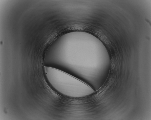 X0000098010449200803280734