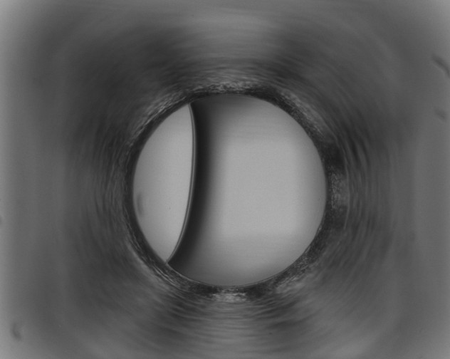 X0000098010451200803280734
