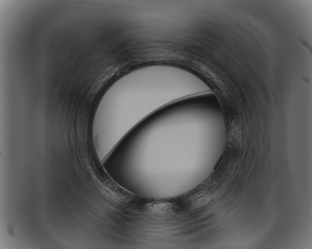 X0000098010452200803280734