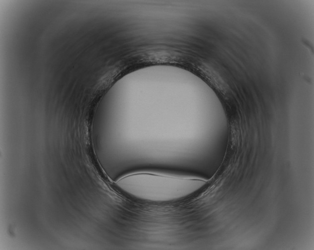 X0000098010453200803280734