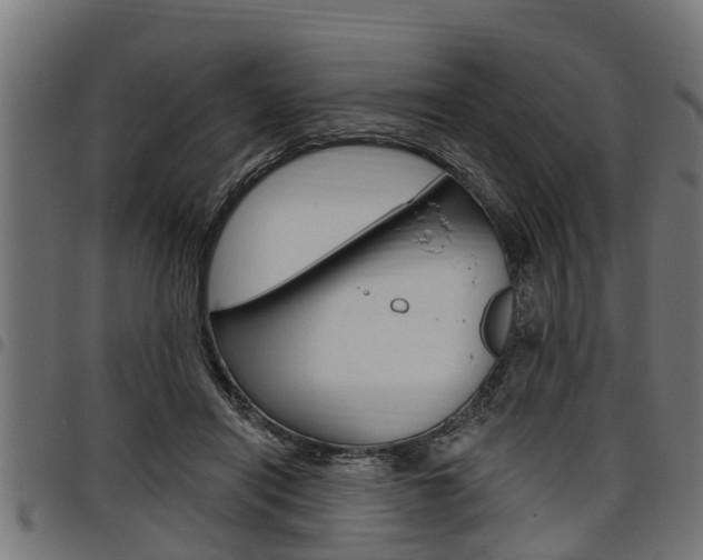 X0000098010454200803280734