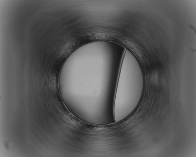 X0000098010457200803280734