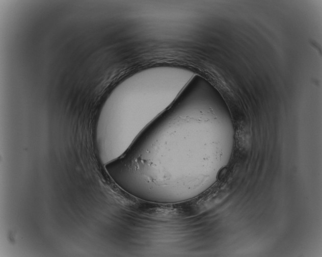 X0000098010458200803280734