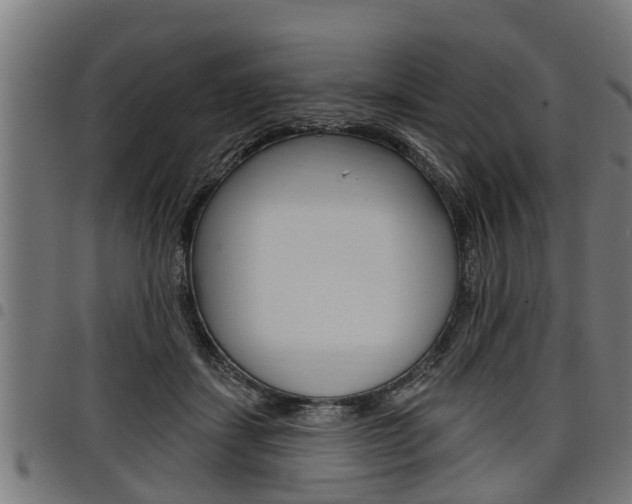X0000098010459200803280734