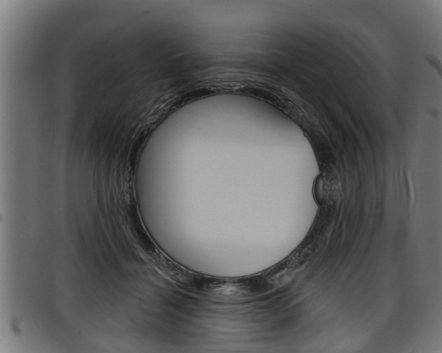 X0000098010460200803280734