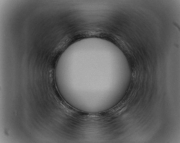 X0000098010462200803280734