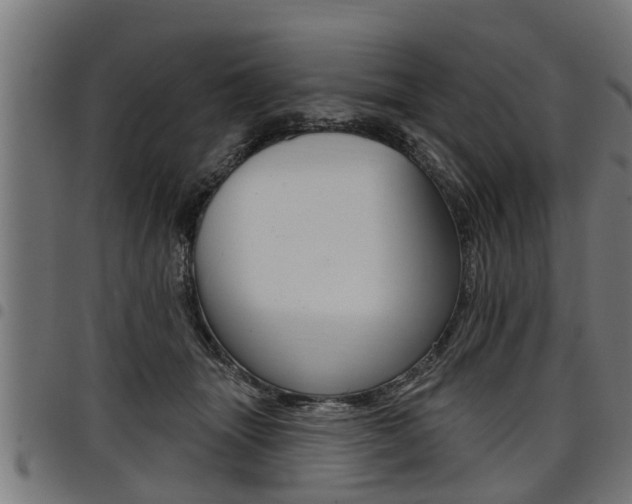 X0000098010463200803280734