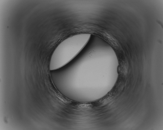 X0000098010465200803280734