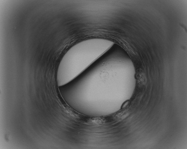 X0000098010466200803280734