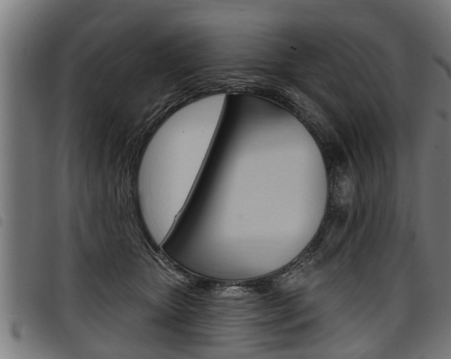 X0000098010467200803280734