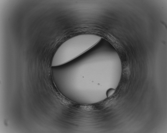 X0000098010469200803280734