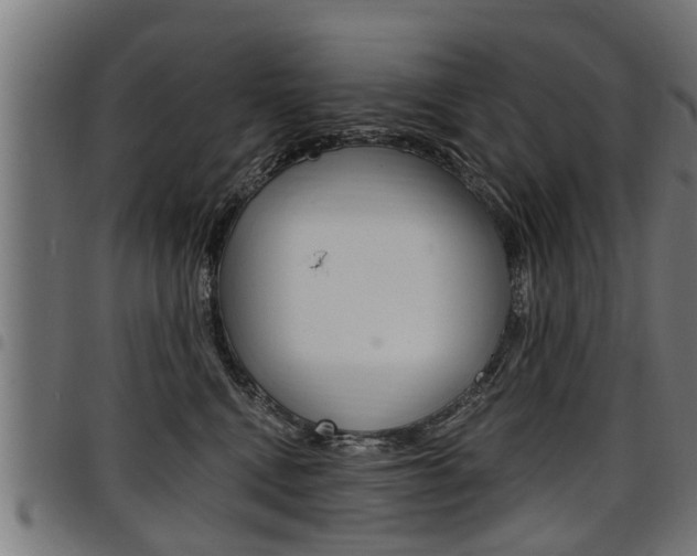 X0000098010472200803280735