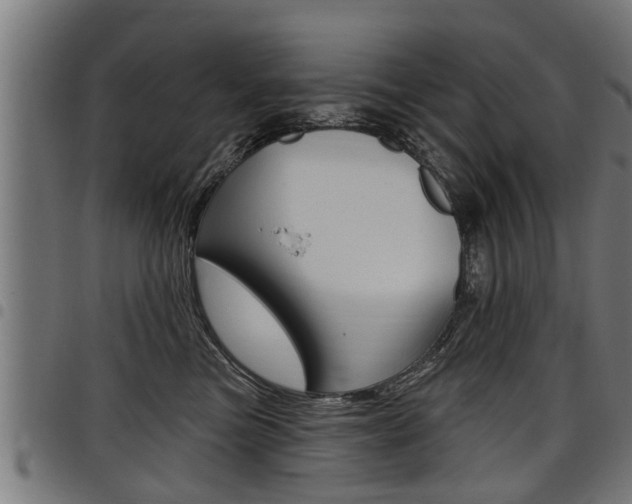 X0000098010473200803280735