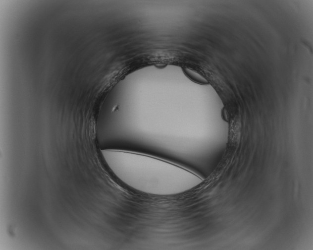X0000098010474200803280735