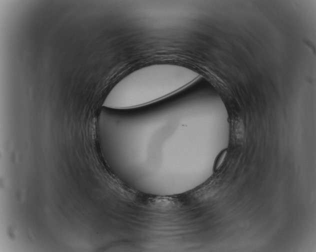 X0000098010475200803280735