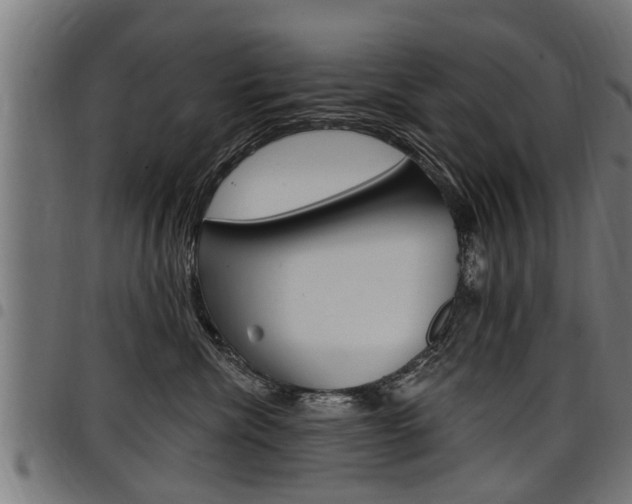 X0000098010476200803280735