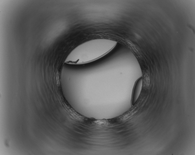 X0000098010477200803280735
