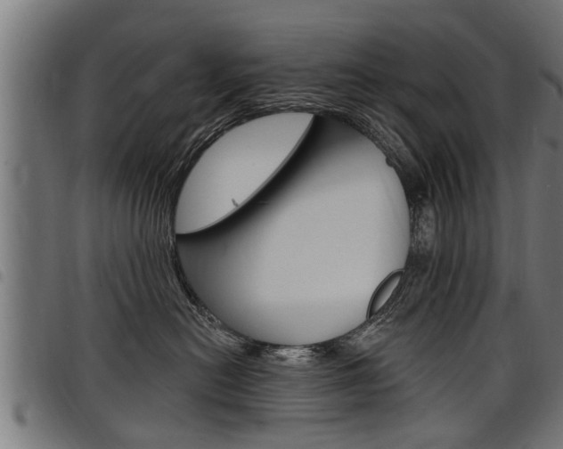 X0000098010478200803280735