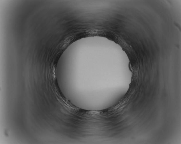 X0000098010479200803280735