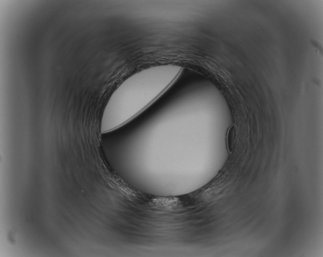 X0000098010480200803280735