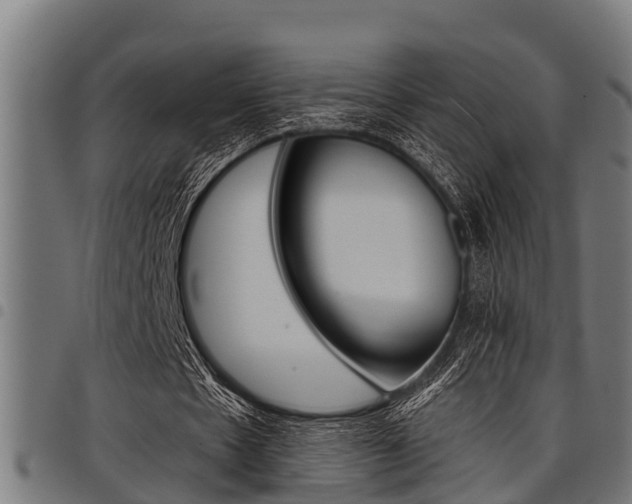 X0000098010481200803280734