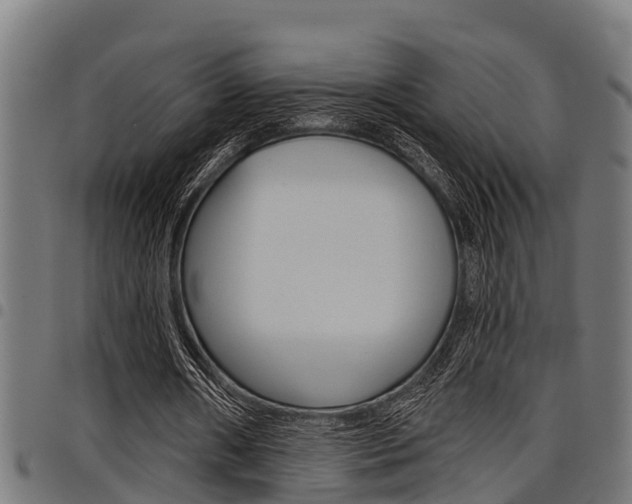 X0000098010482200803280734