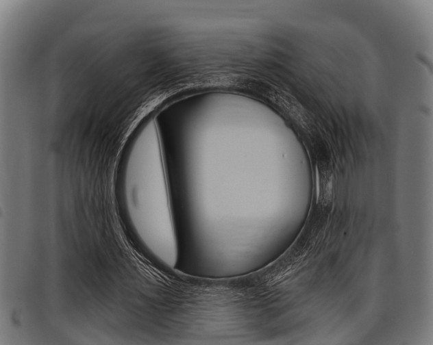 X0000098010483200803280734