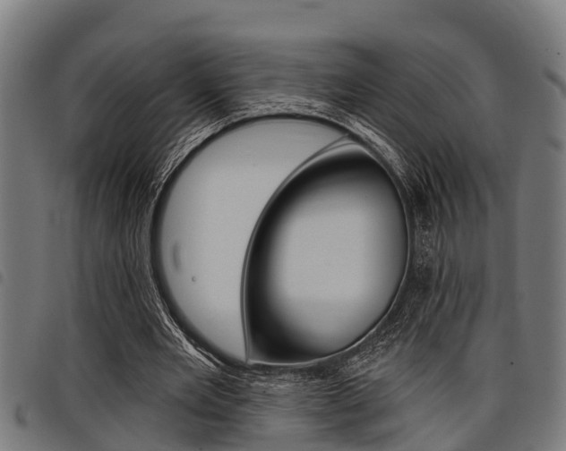 X0000098010485200803280734