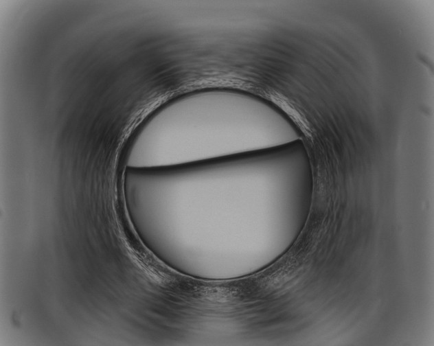 X0000098010486200803280734
