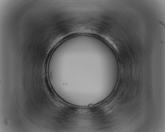 X0000098010487200803280734