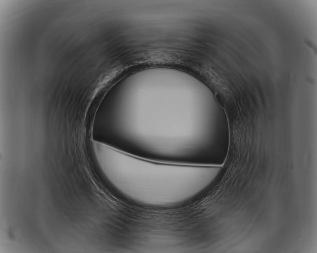X0000098010488200803280734