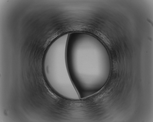 X0000098010489200803280734