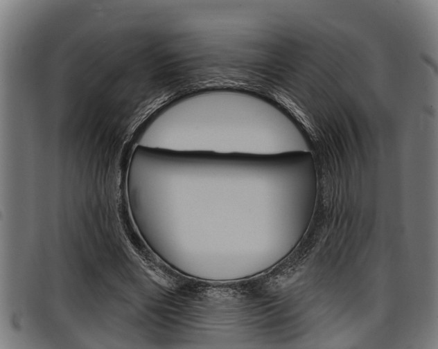 X0000098010490200803280734