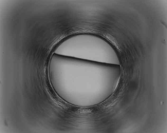 X0000098010491200803280734