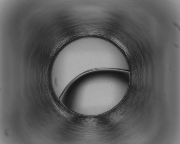 X0000098010493200803280734