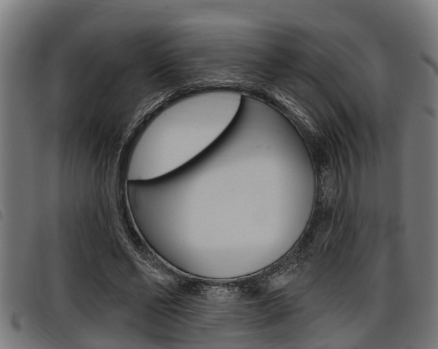 X0000098010494200803280734