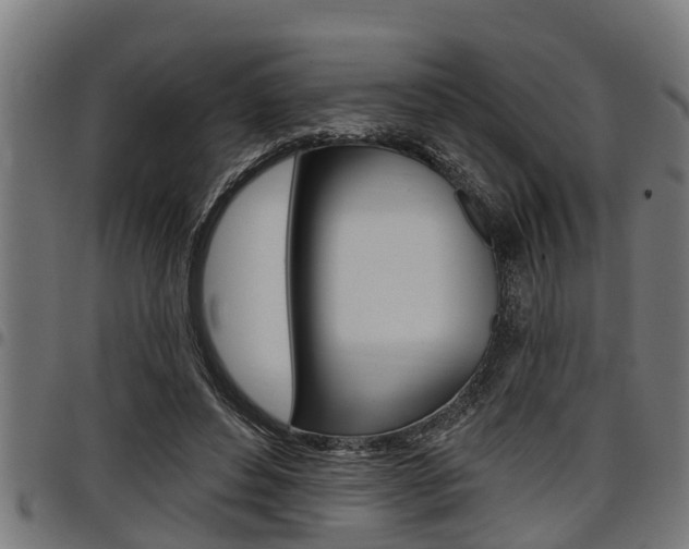 X0000098010496200803280734