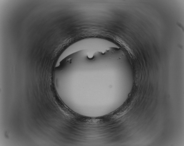 X0000098010497200803280734