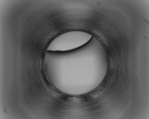 X0000098010498200803280734
