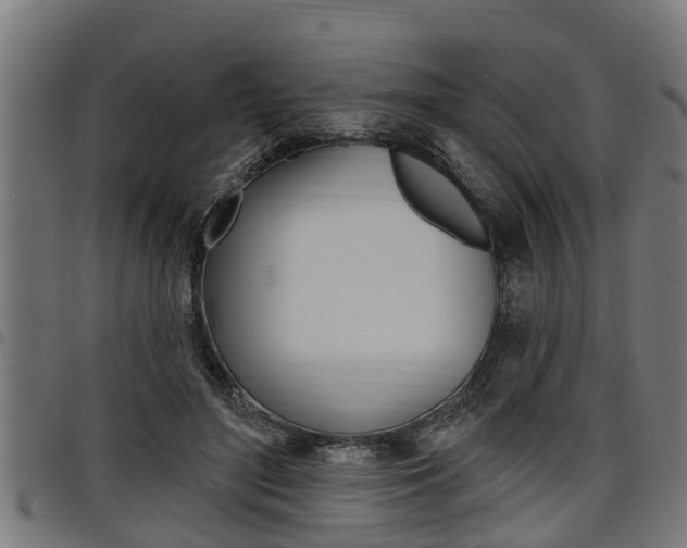 X0000098010500200803280734